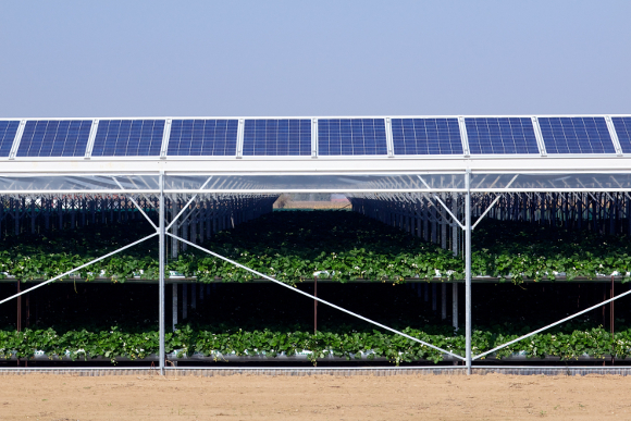 guide-photovoltaique-belgique-1 Installation photovoltaïque en belgique : guide complet pour tous