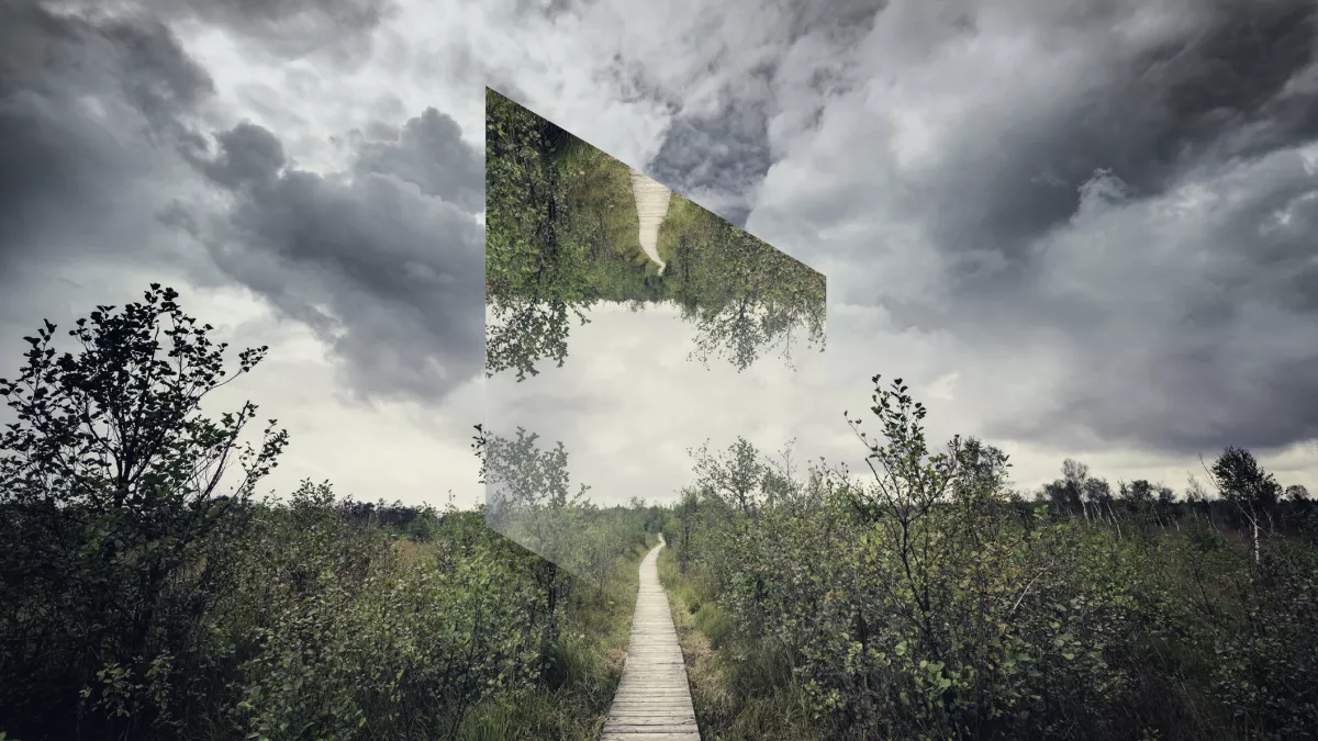 initiatives-ecologiques-decotopia Comparatif des initiatives écologiques d'Ecotopia