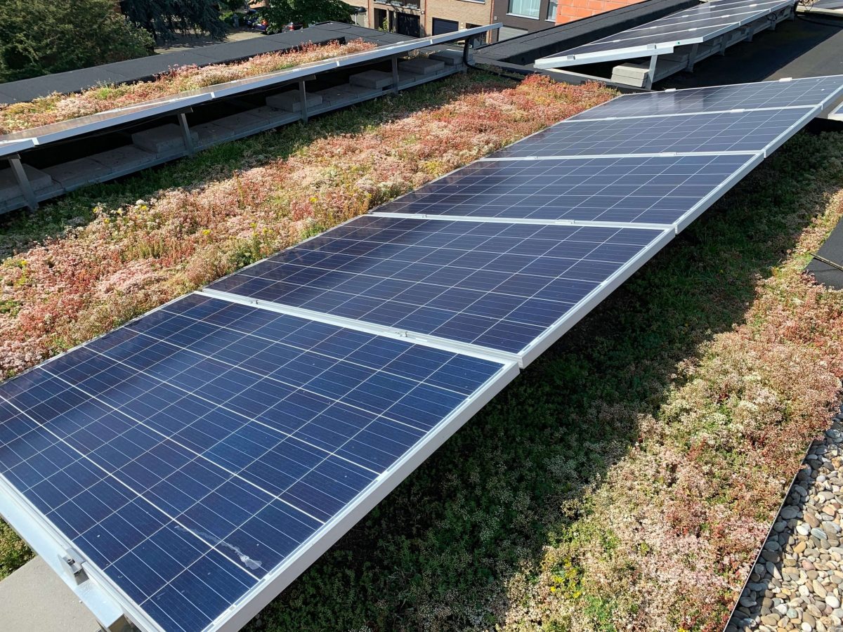 installation-photovoltaique-gagnante-2 Mon installation photovoltaïque par une entreprise : un choix gagnant