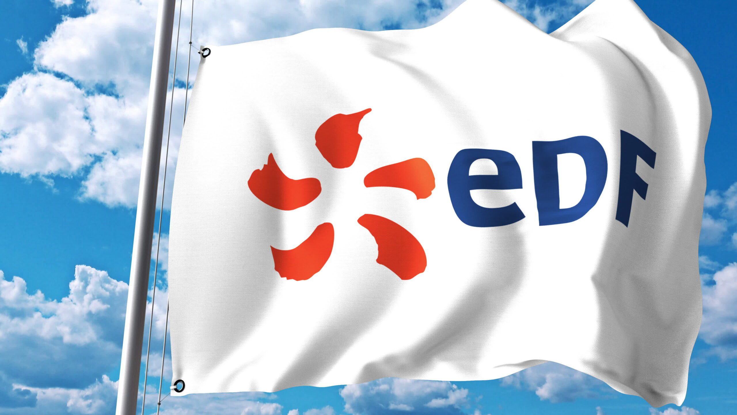 logo-edf logo edf blanc