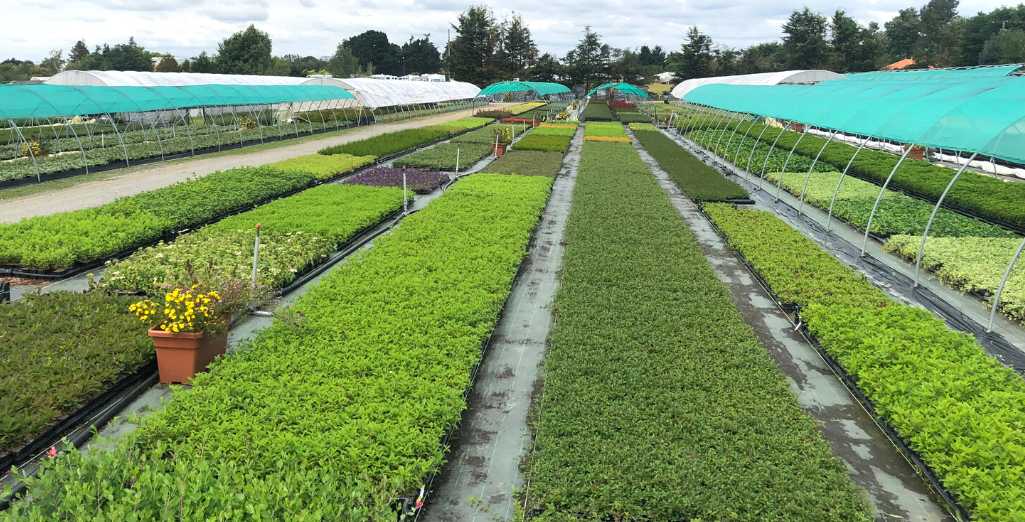 meteo-agricole-sorinieres-2 meteo agricole les sorinieres