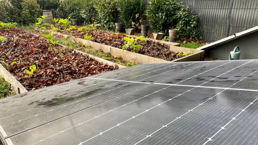 oscaro-solaire-2 oscaro panneau solaire