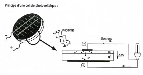découvrez le principe des panneaux solaires, une technologie innovante qui convertit la lumière du soleil en énergie électrique. apprenez comment ces dispositifs fonctionnent, leurs avantages environnementaux et leur impact sur la transition énergétique.
