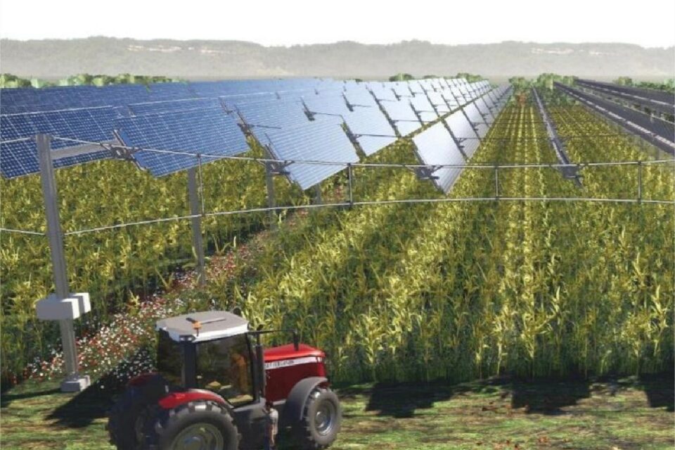 panneaux-photovoltaiques-agricoles-8 installation de panneaux photovoltaique sur terrain agricole