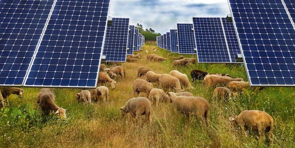 panneaux-solaires-france-2 photovoltaique france