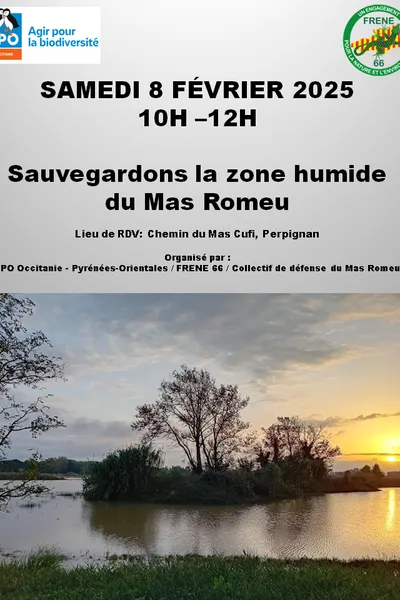 parc-photovoltaique-et-zone-humide Installation d'un parc photovoltaïque de 29 000 panneaux solaires : des opposants s'alarment de la dégradation d'une zone humide