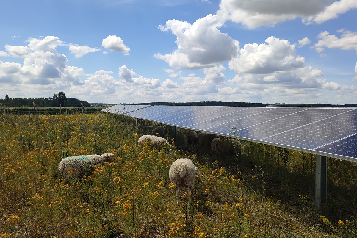 parc-photovoltaique installation parc photovoltaique