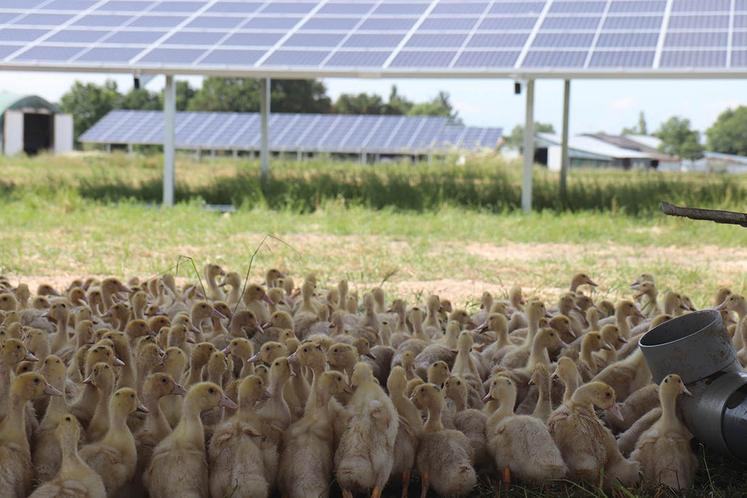 photovoltaique-2025-3 Installation photovoltaïque : tout ce qu'il faut savoir en 2025