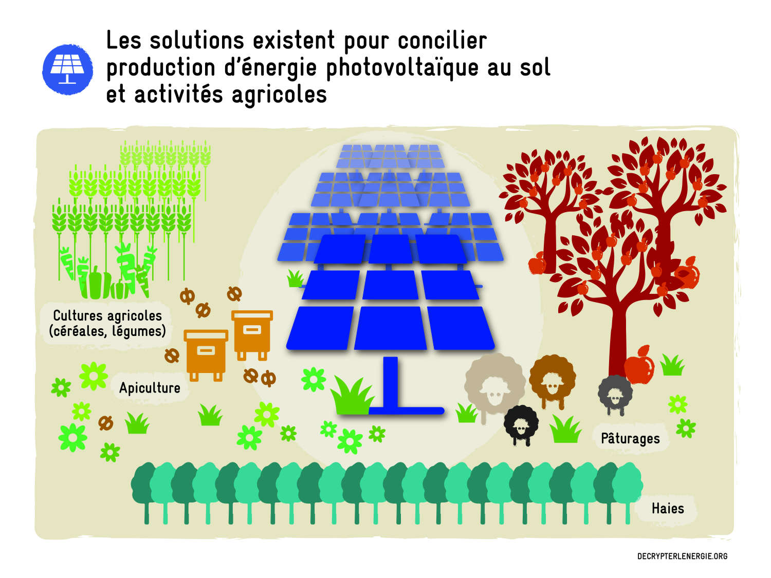 photovoltaiques-agricoles-1 Les installateurs photovoltaïques solaires dans l'agriculture : un atout pour la transition énergétique