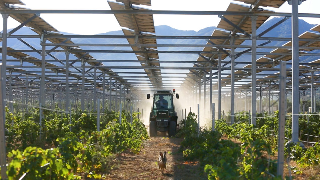 photovoltaiques-agricoles-2 Les installateurs photovoltaïques solaires dans l'agriculture : un atout pour la transition énergétique