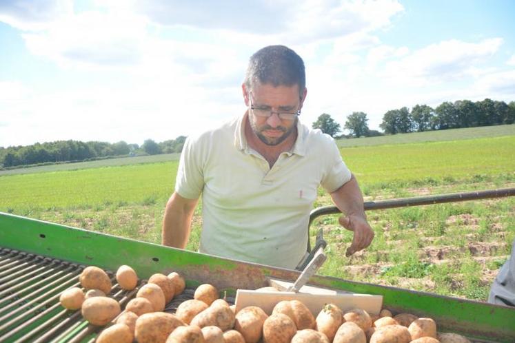 producteur-2 oa producteur