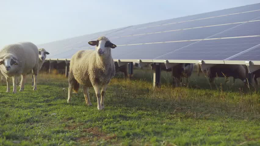 profit-panneau-solaire-3 gain panneau solaire