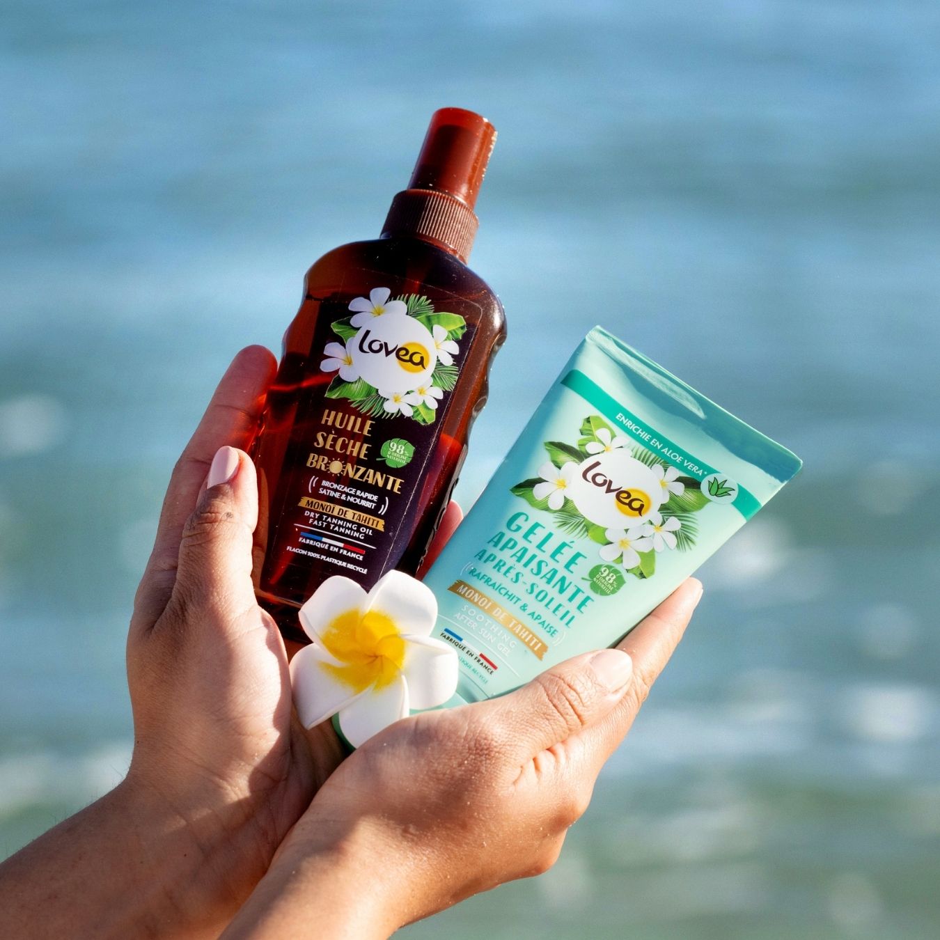 promo-solaire promo panneaux solaires