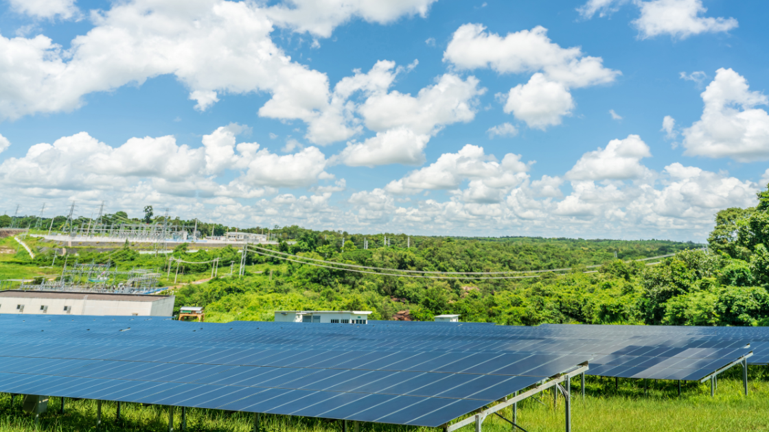 découvrez comment la protection photovoltaïque peut optimiser la durabilité et l'efficacité de vos installations solaires, tout en préservant votre investissement face aux aléas climatiques et environnementaux.