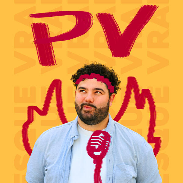 pv-2025-1 installation photovoltaique financée par le plan d'etat 2025