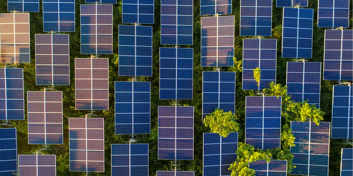 secrets-panneaux-solaires Découvrez les secrets des panneaux solaires qui pourraient transformer votre facture d'électricité !