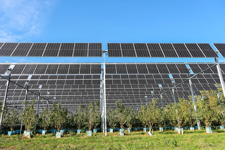 secrets-panneaux-solaires Découvrez les secrets des panneaux solaires qui pourraient transformer votre facture d'électricité !