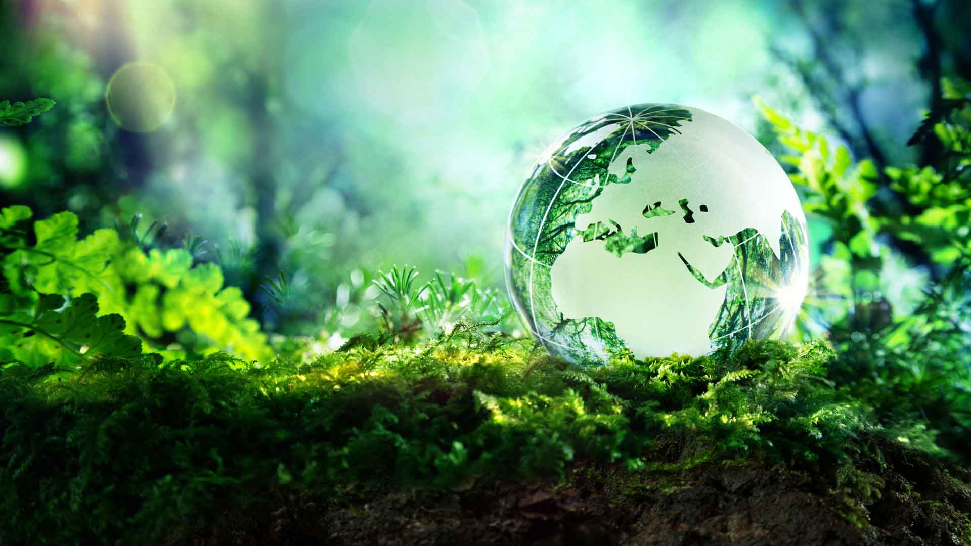 solutions-durables-3 Des solutions à faible consommation pour un avenir durable