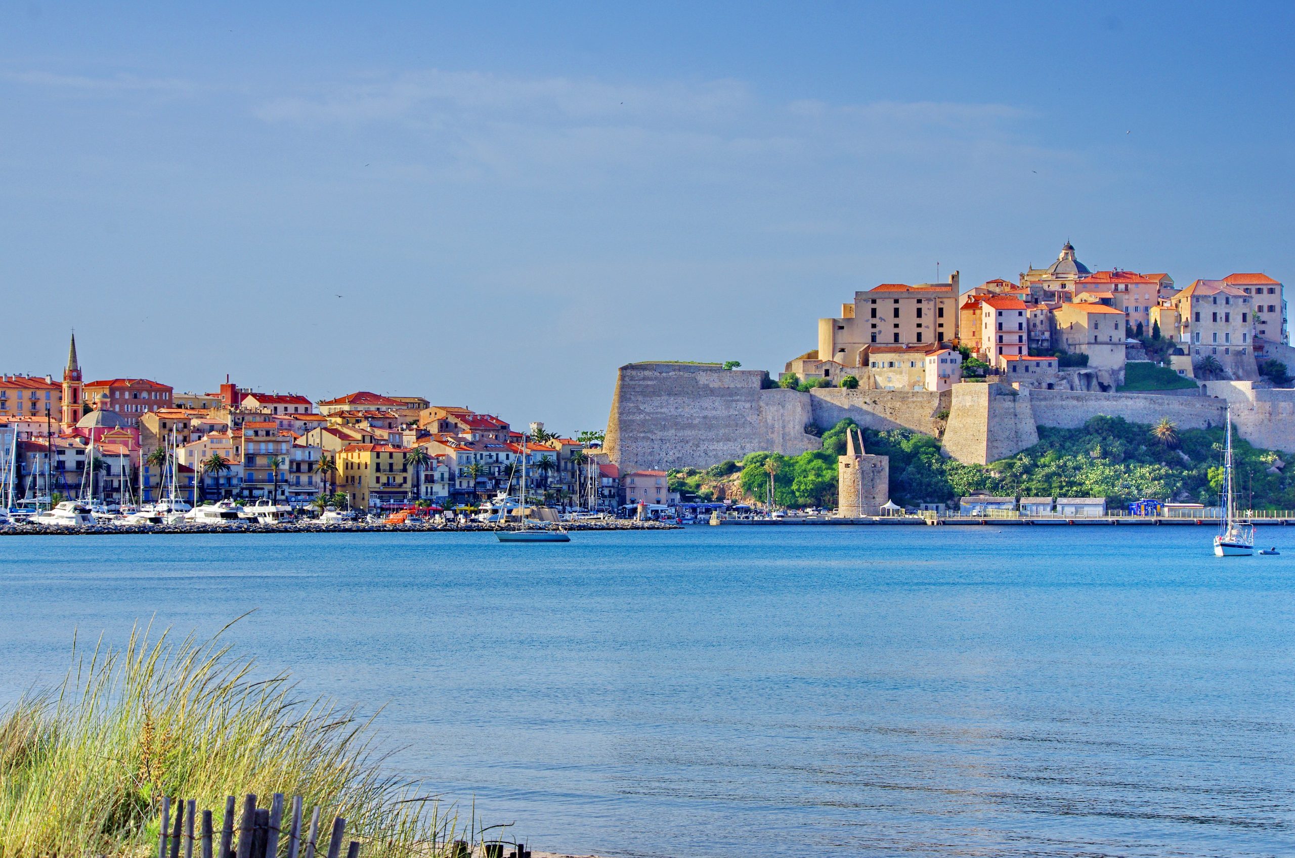 soscaro-1-scaled soscaro