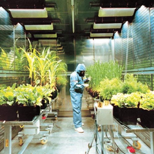 techniques-de-green-processing-1 Comparatif des techniques de green processing dans l'industrie