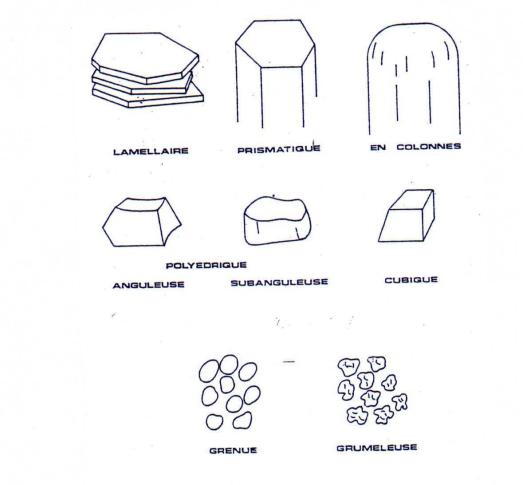 types-de-sol-de-the-3 Comparatif des différents types de sol de thé