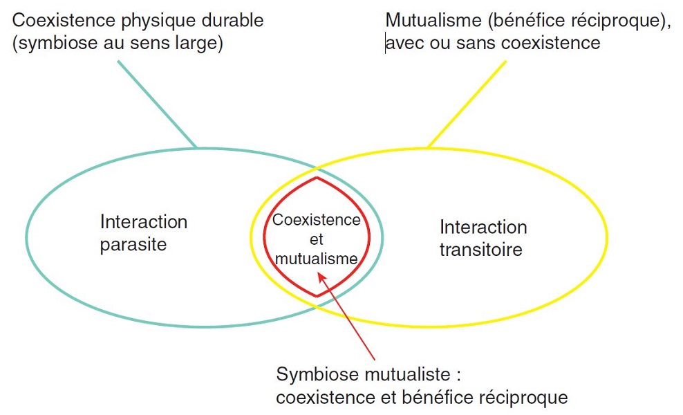 types-de-symbiose Comparatif des différents types de symbiose dans la nature