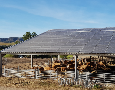 découvrez les avantages d'une centrale photovoltaïque agricole : une solution innovante pour produire de l'énergie renouvelable tout en optimisant vos terres agricoles. réduisez vos coûts d'énergie, valorisez vos cultures et contribuez à la transition écologique grâce à cette technologie durable.