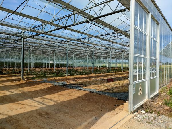 jeunes-et-serres-photovoltaiques-2 Installation d'un jeune avec des serres photovoltaïques : enjeux et perspectives