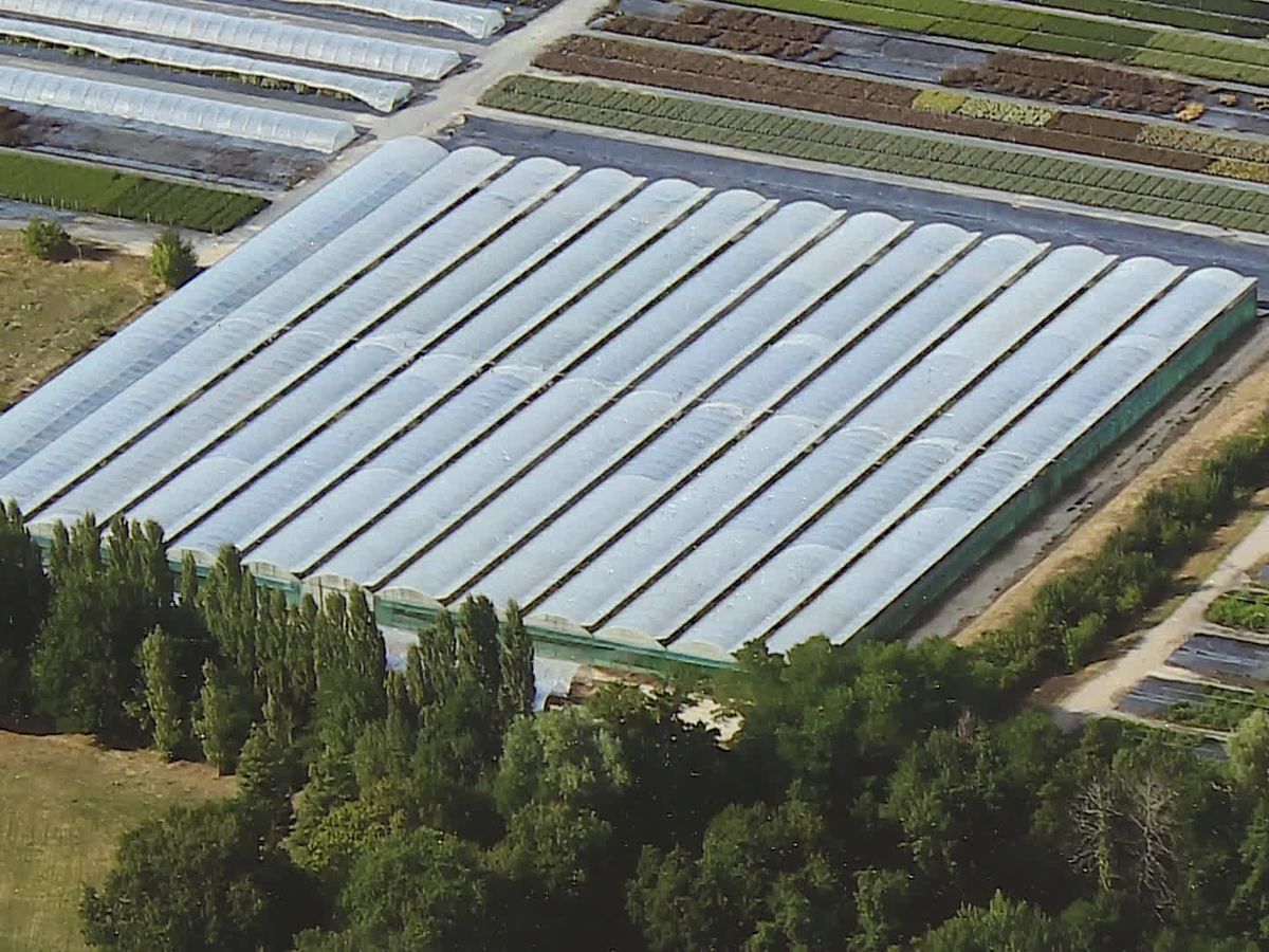 découvrez comment les jeunes s'engagent dans l'innovation agricole grâce aux serres photovoltaïques. apprenez comment cette technologie durable offre des solutions pour cultiver tout en préservant l'environnement.