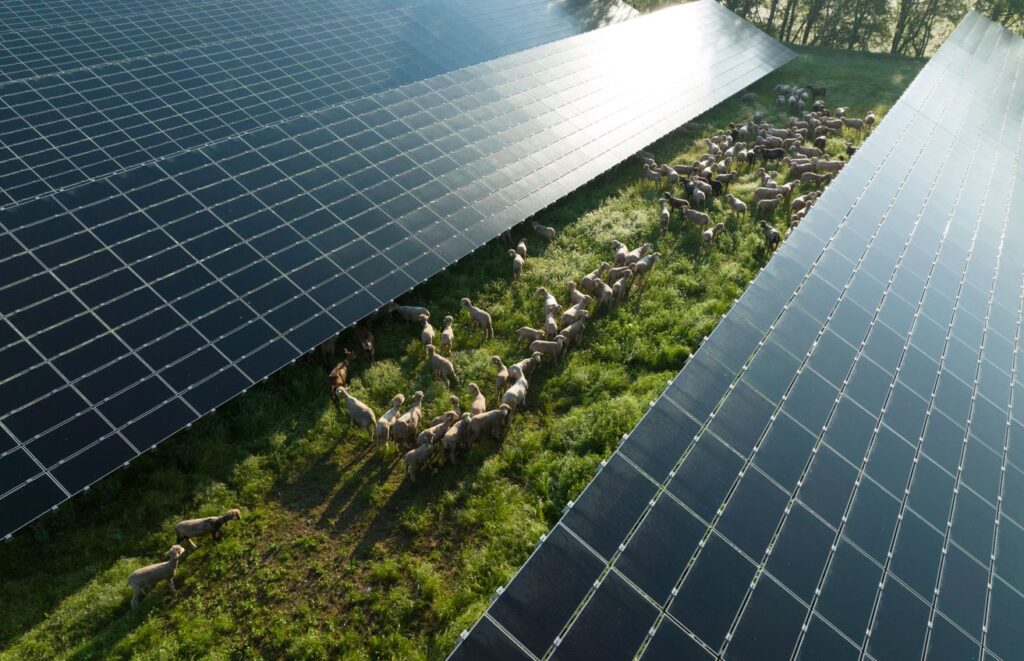 découvrez les panneaux photovoltaïques à tulle, une solution énergétique durable pour réduire vos factures d'électricité et contribuer à la préservation de l'environnement. profitez d'un ensoleillement optimal et d'une installation professionnelle adaptée à vos besoins.