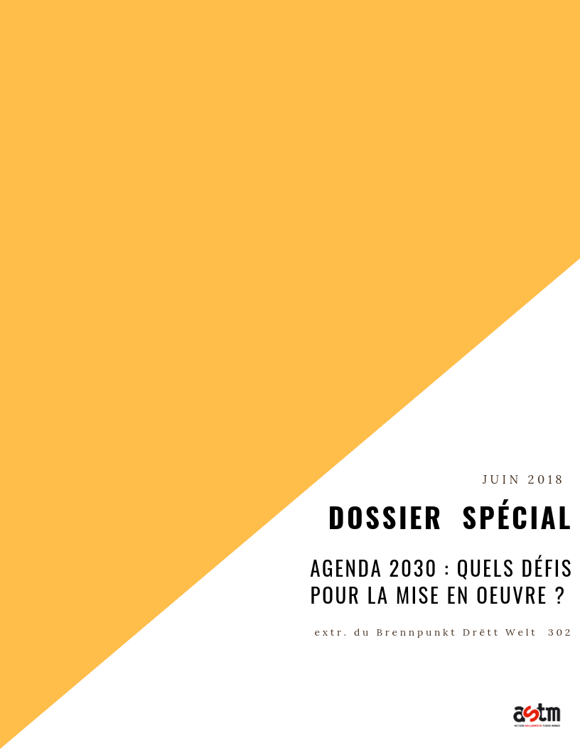 defis-mise-en-oeuvre-1 Les défis de sa mise en œuvre dans différents pays