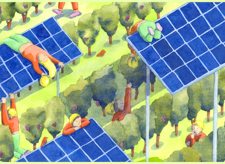 zones-photovoltaiques Les zones idéales pour l'installation de centrales photovoltaïques