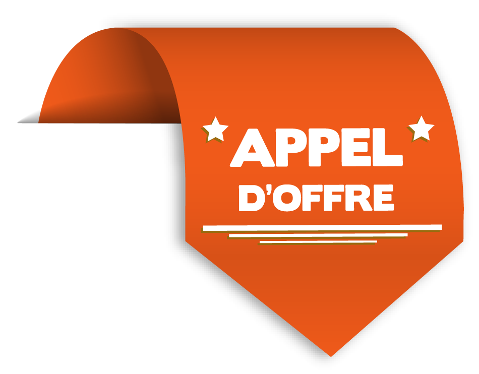 appels-doffres-publics-1 Analyse des opportunités d'appels d'offres publics en France