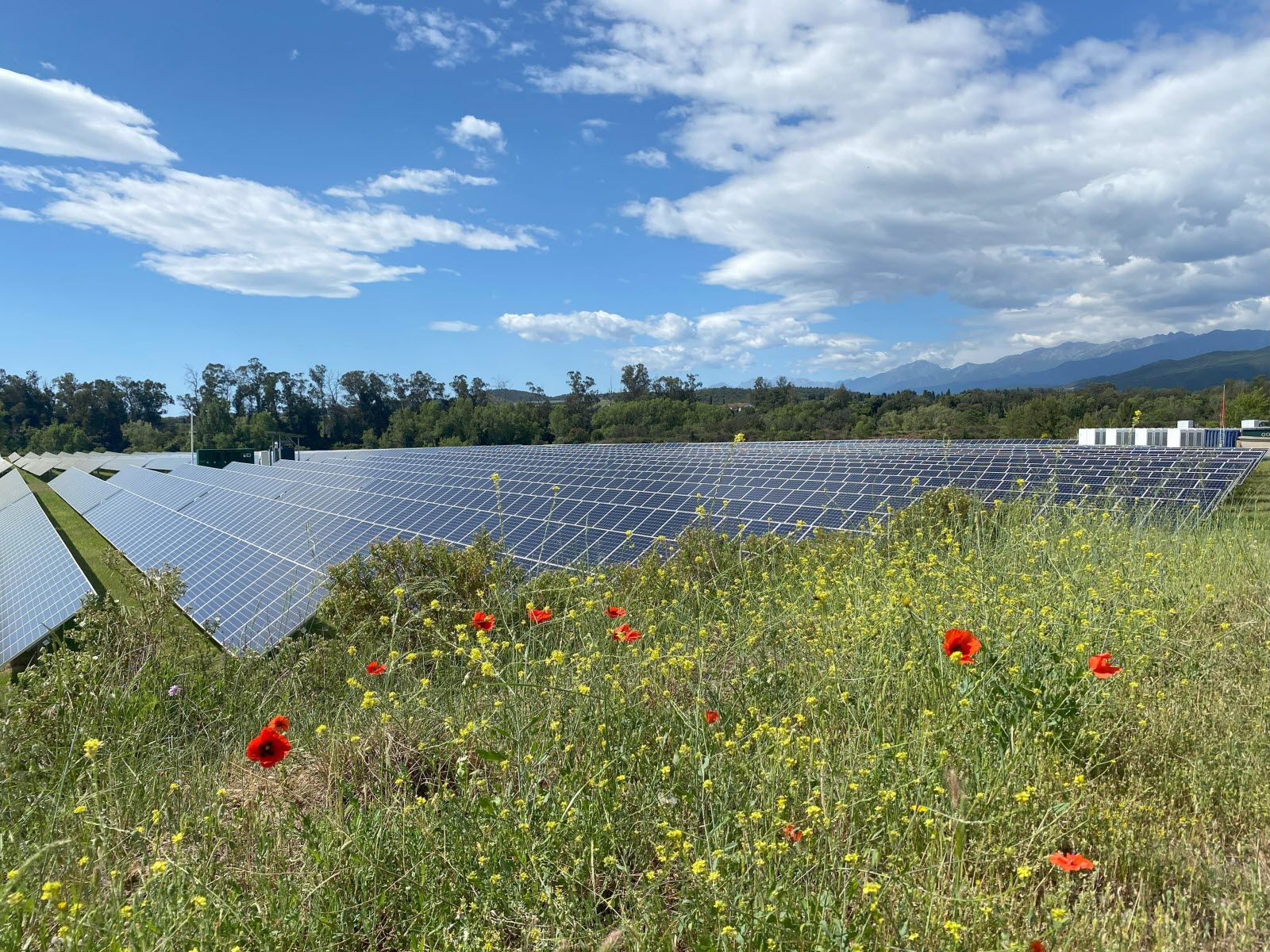 marches-publics-photovoltaiques-derniers-avis-en-france Opportunités de marchés publics dans le secteur du photovoltaïque en France : les derniers avis à connaître