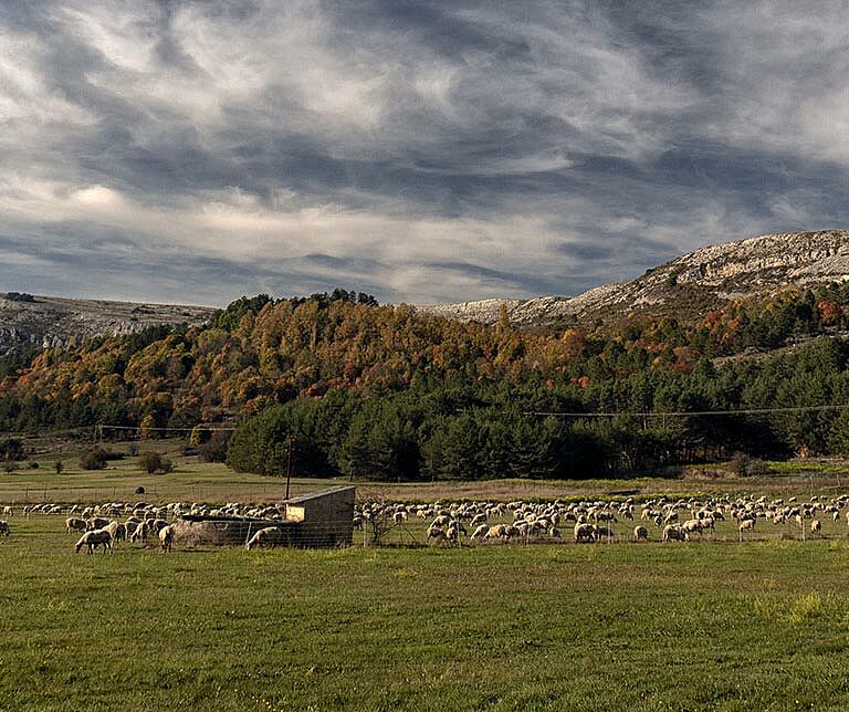 casa-dynamise-solaire-a-sophia-antipolis-1 À Sophia Antipolis, la CASA dynamise l'énergie solaire grâce à Sun and Go