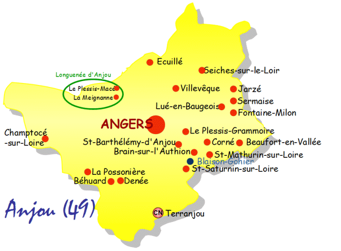 plan-solaire-a-angers-loire-metropole Énergie solaire : Angers Loire Métropole lance un ambitieux plan pour booster sa production locale