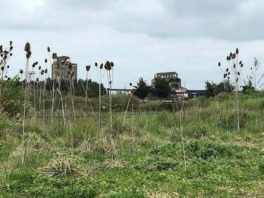 découvrez l'enquête à heippes concernant le projet de centrale solaire, ses enjeux environnementaux et l'impact local.